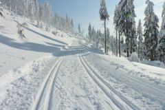 běžecké-stopy